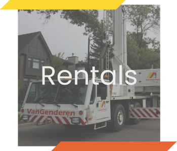 Website Icons Rentals